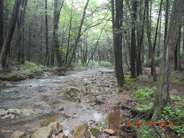 fowlers hollow.Laural run 06-09-14 055.jpg -                                